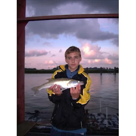 Atelier 2, Ostewerft Comfortable בית נופש *